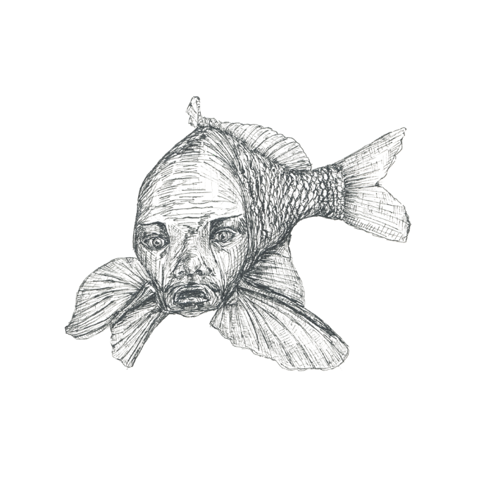 Eine Illustration des Pilatusfisches im Obersee von Klara Naynar